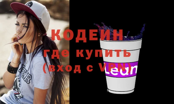 индика Вязники