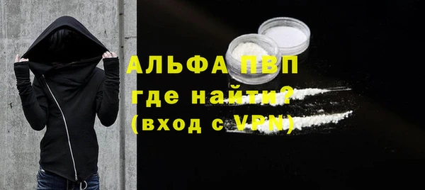 индика Вязники