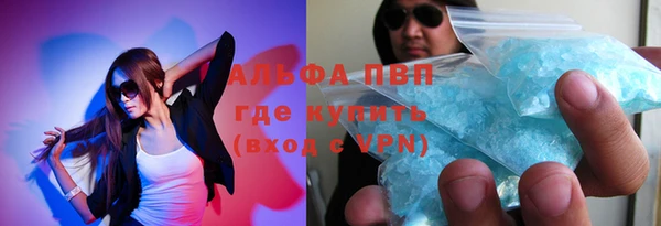 индика Вязники