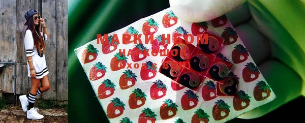 индика Вязники