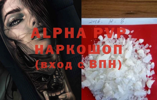 индика Вязники