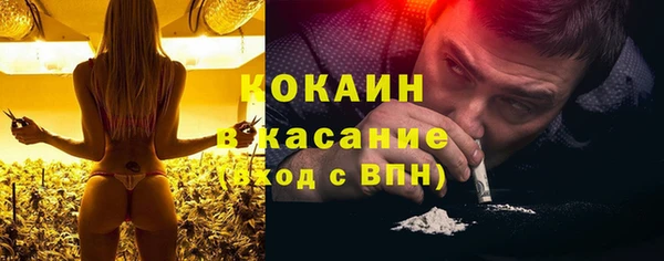 индика Вязники